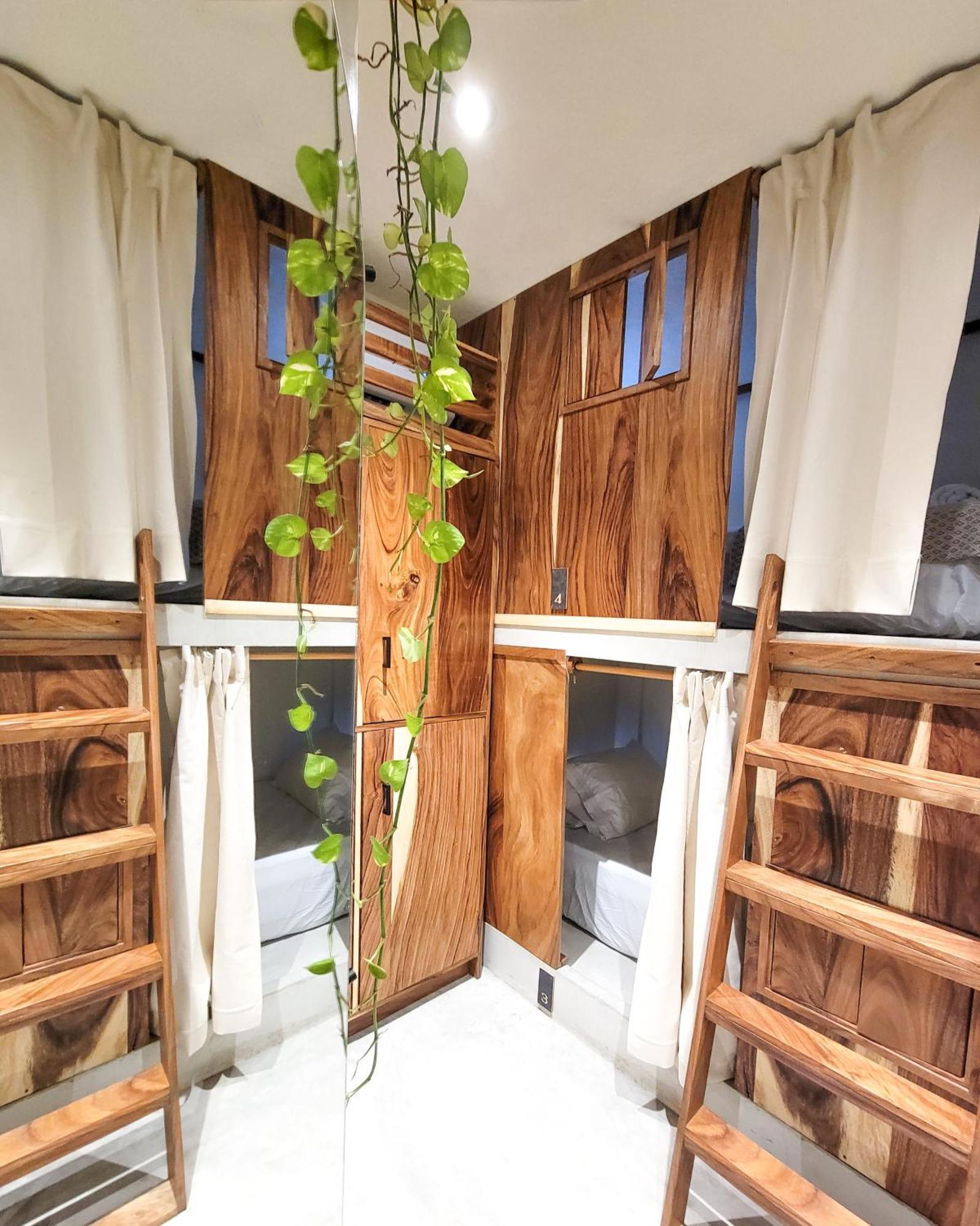 Caracola Boutique Hostel Эль-Паредон-Буэна-Виста Экстерьер фото