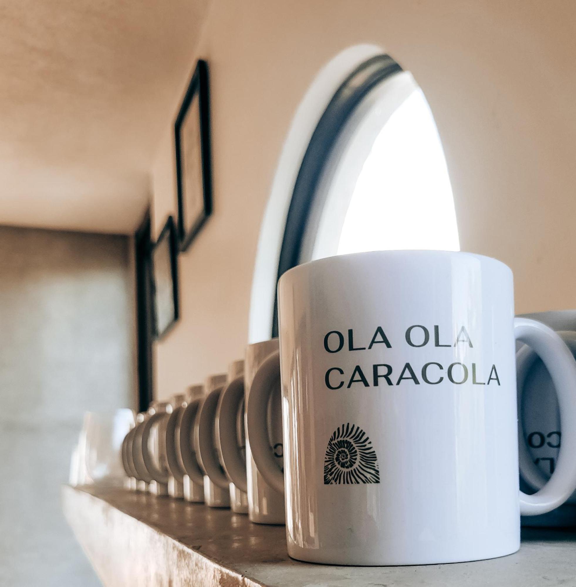 Caracola Boutique Hostel Эль-Паредон-Буэна-Виста Экстерьер фото